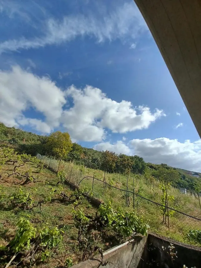 Holiday home Vane Sauzal
