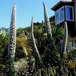  Apartment Mar Y Teide